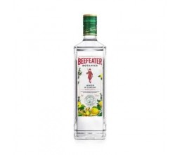 Bebida Mista Beefeater Botanics Lemon & Ginger...