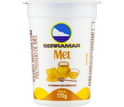 Iogurte Sabor Mel Serramar 170g